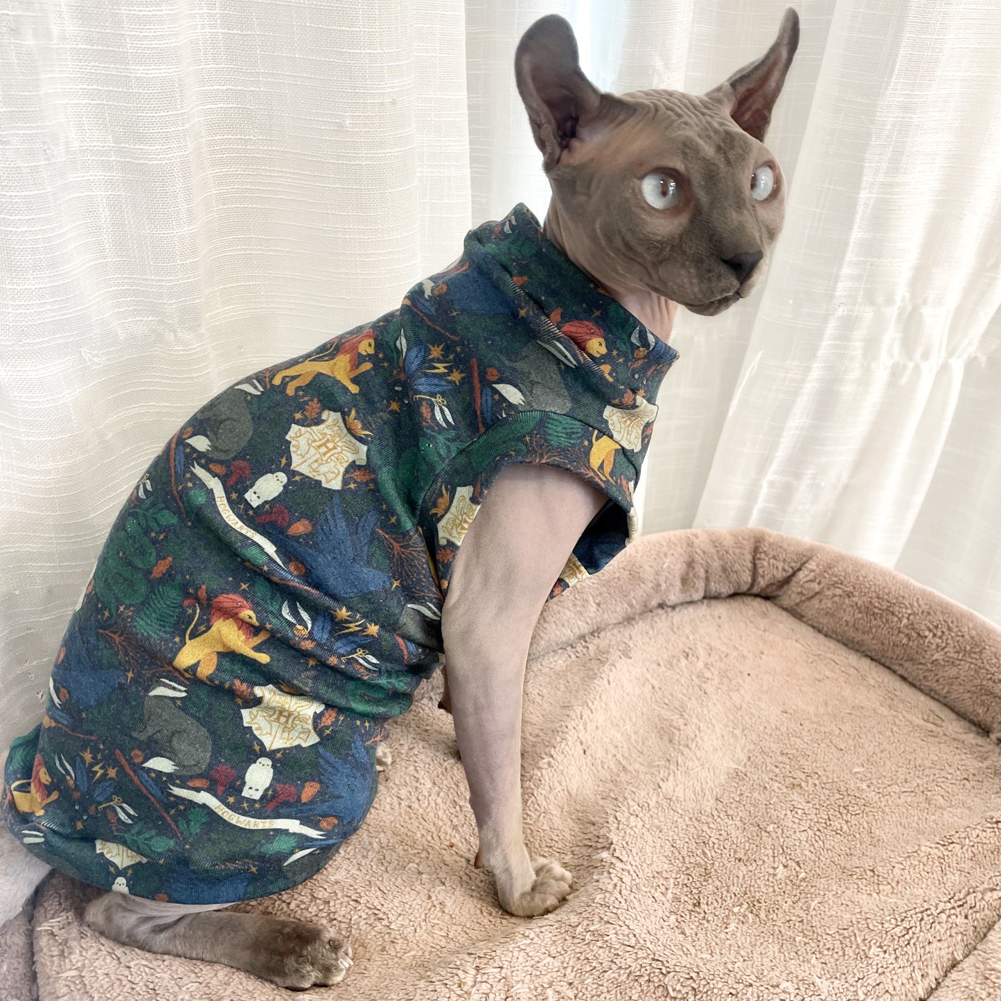 Wizard Houses Everyday Shirt