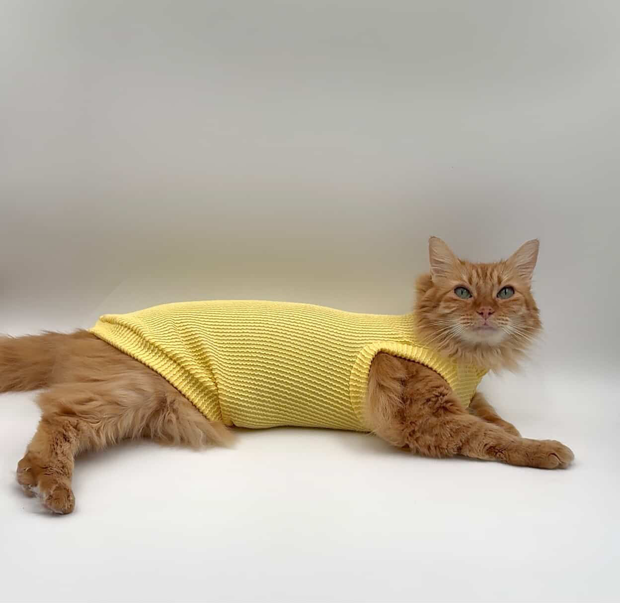 Butter Chunky Ribbed Shirt