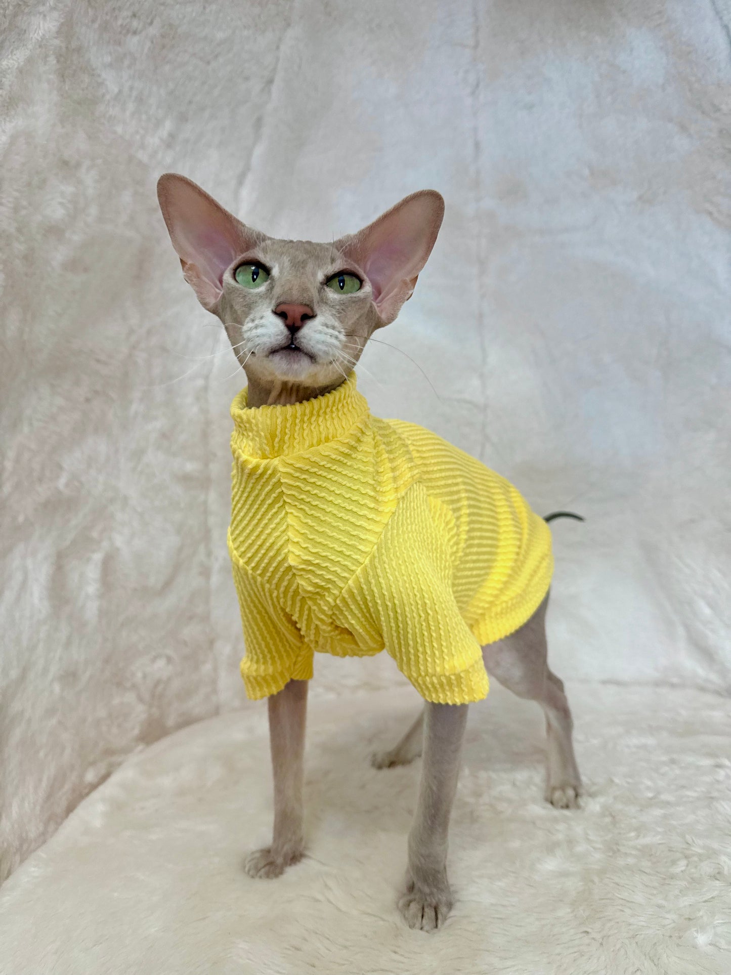 Butter Long Sleeve Chunky Ribbed Shirt