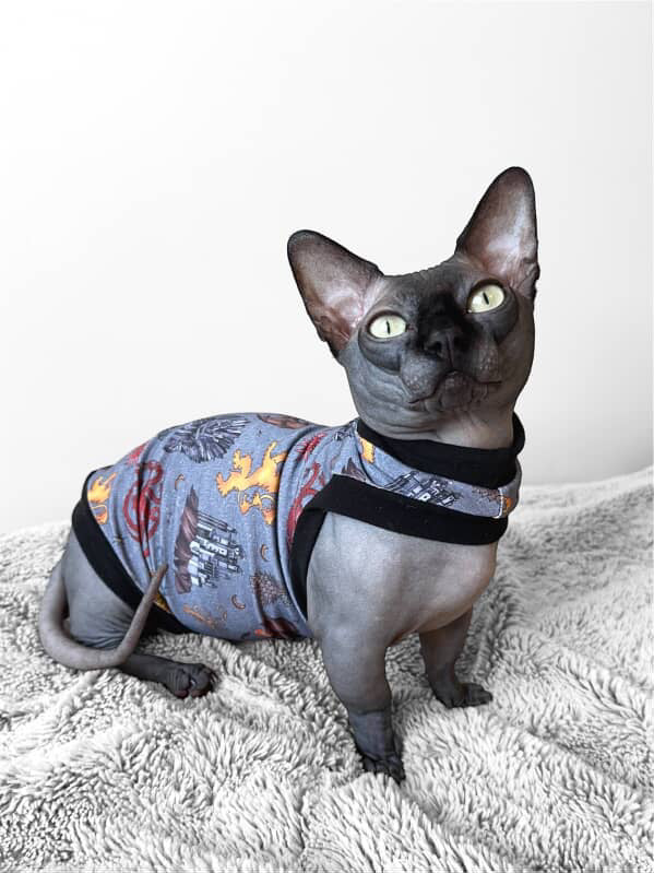 Game of Thrones Everyday Shirt with One Arm Hole