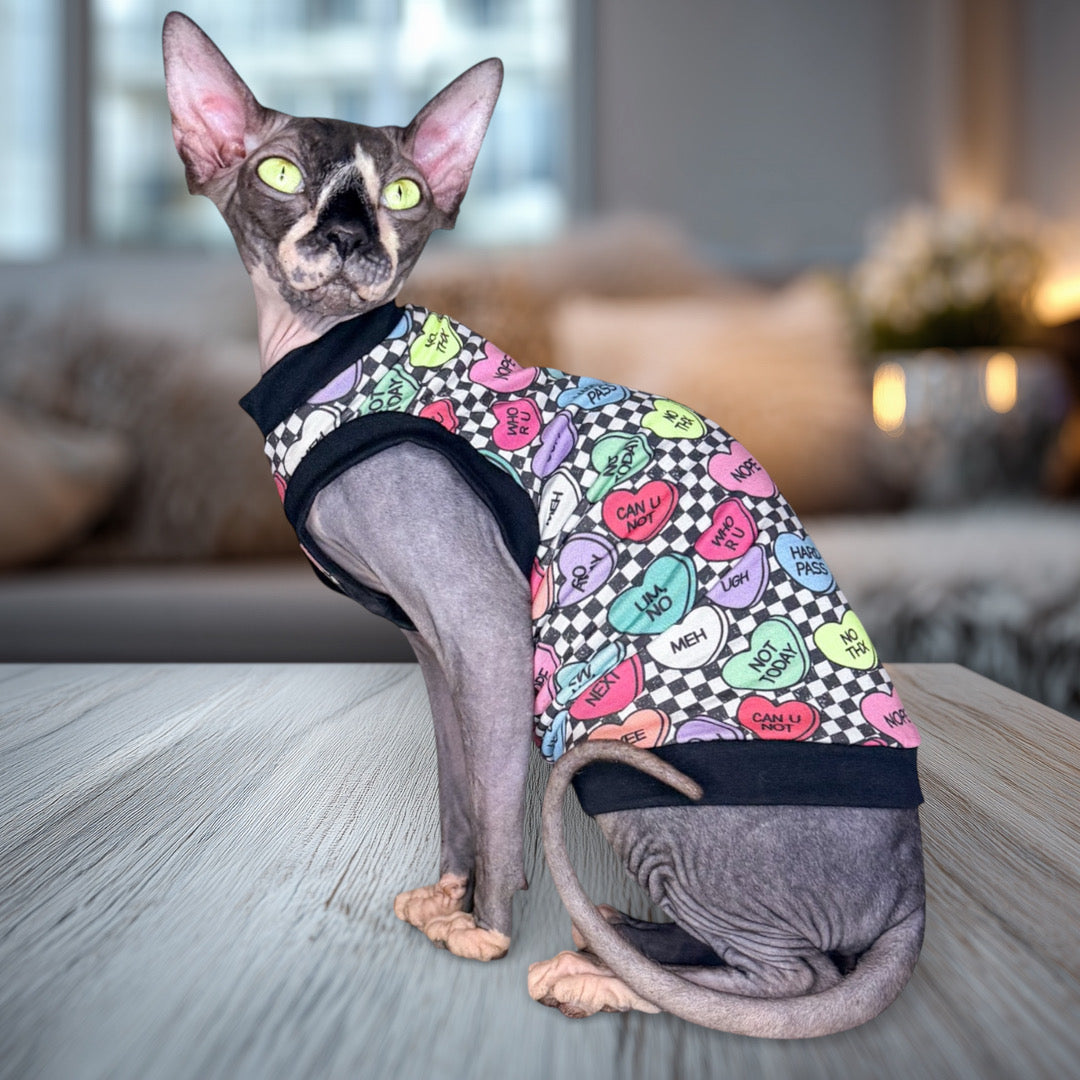 Sphynx Cat Clothes | Hairless Cat Clothes | Bambino Cat Clothes