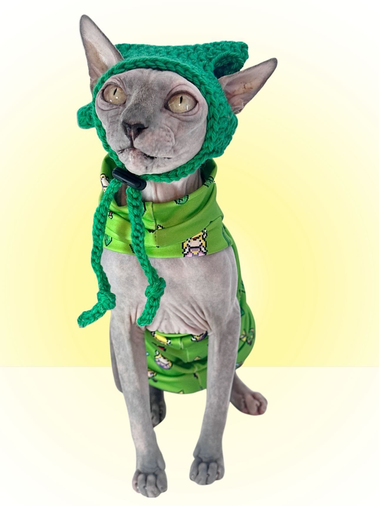 Zelda Knit Hat
