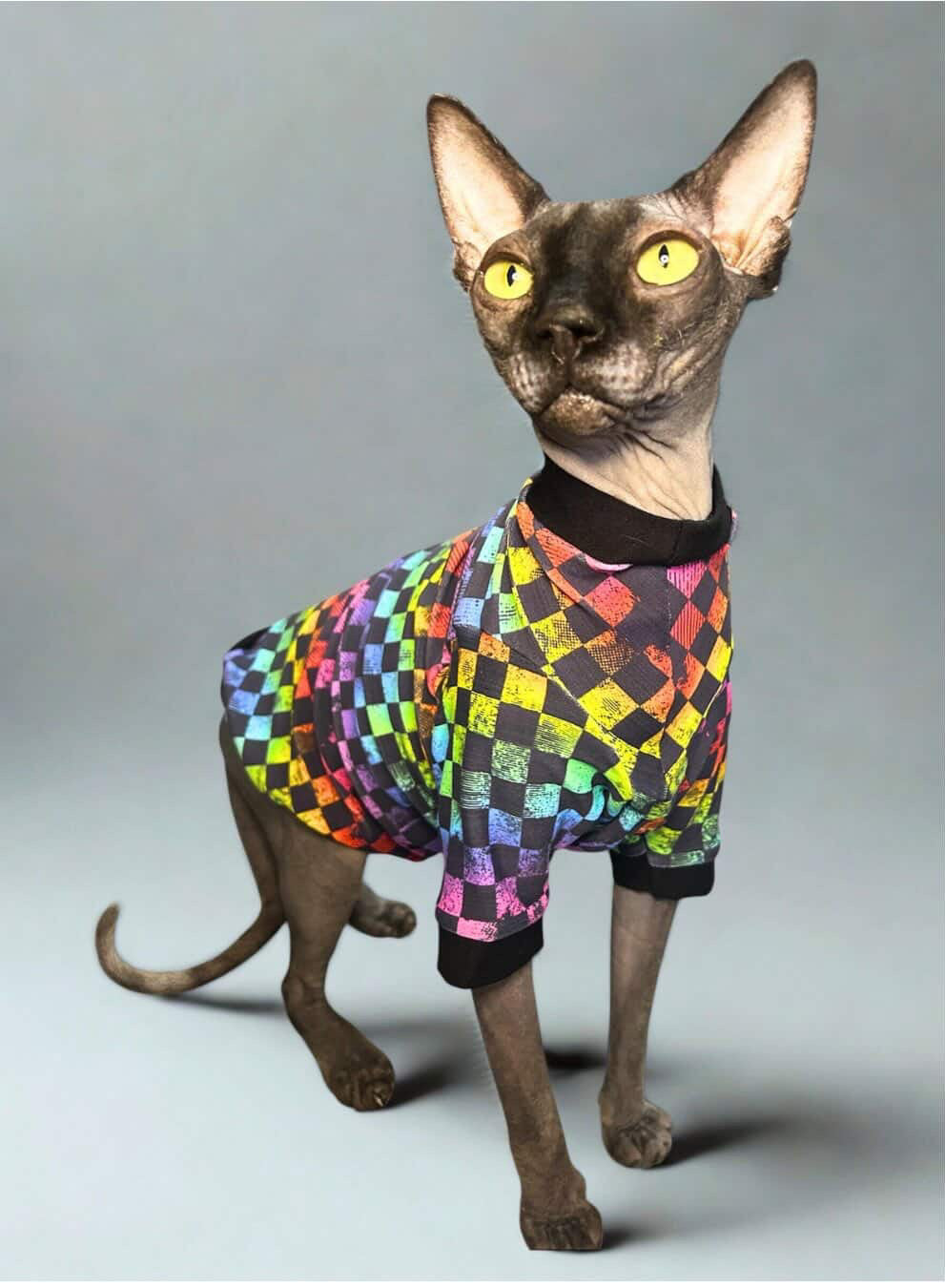 Rainbow Checkers Long Sleeve UV50+ Sun Protection Shirt