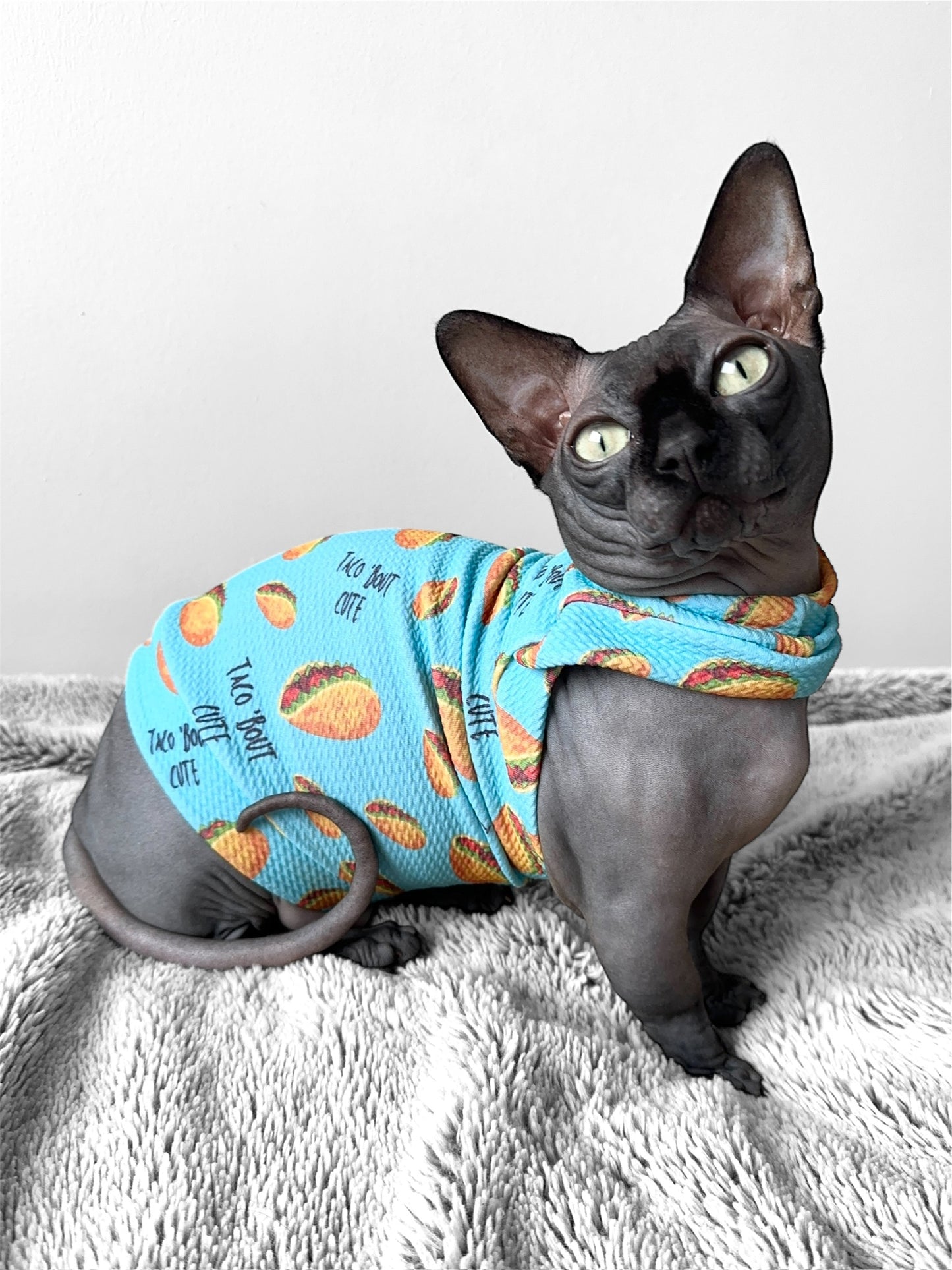 Taco Bout Cute Textured Shirt with One Arm Hole