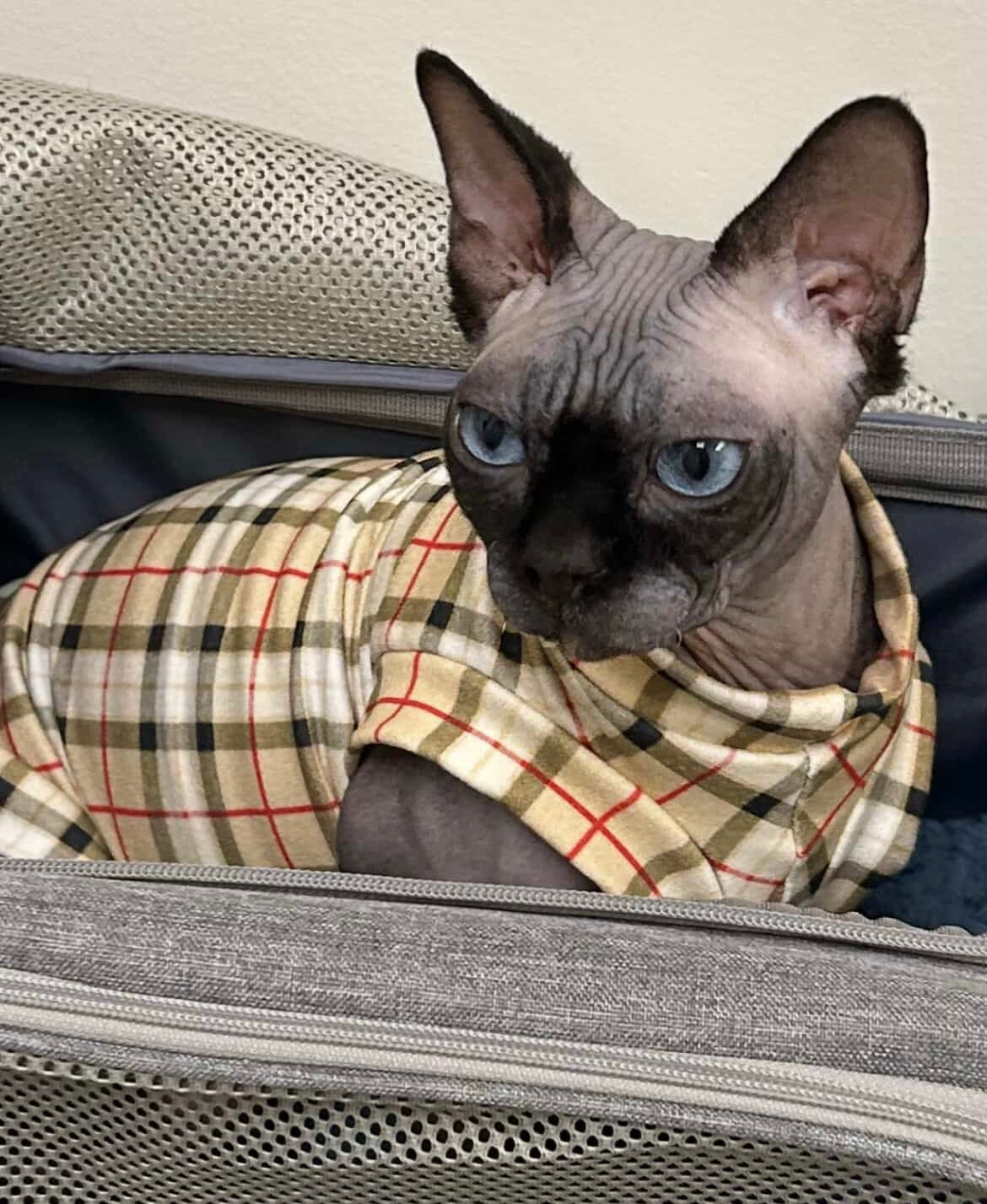 Luxury Plaid Lightweight Sweatshirt