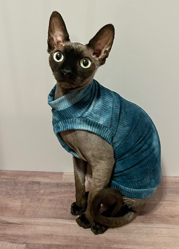 Teal Tie Dye Ribbed Shirt