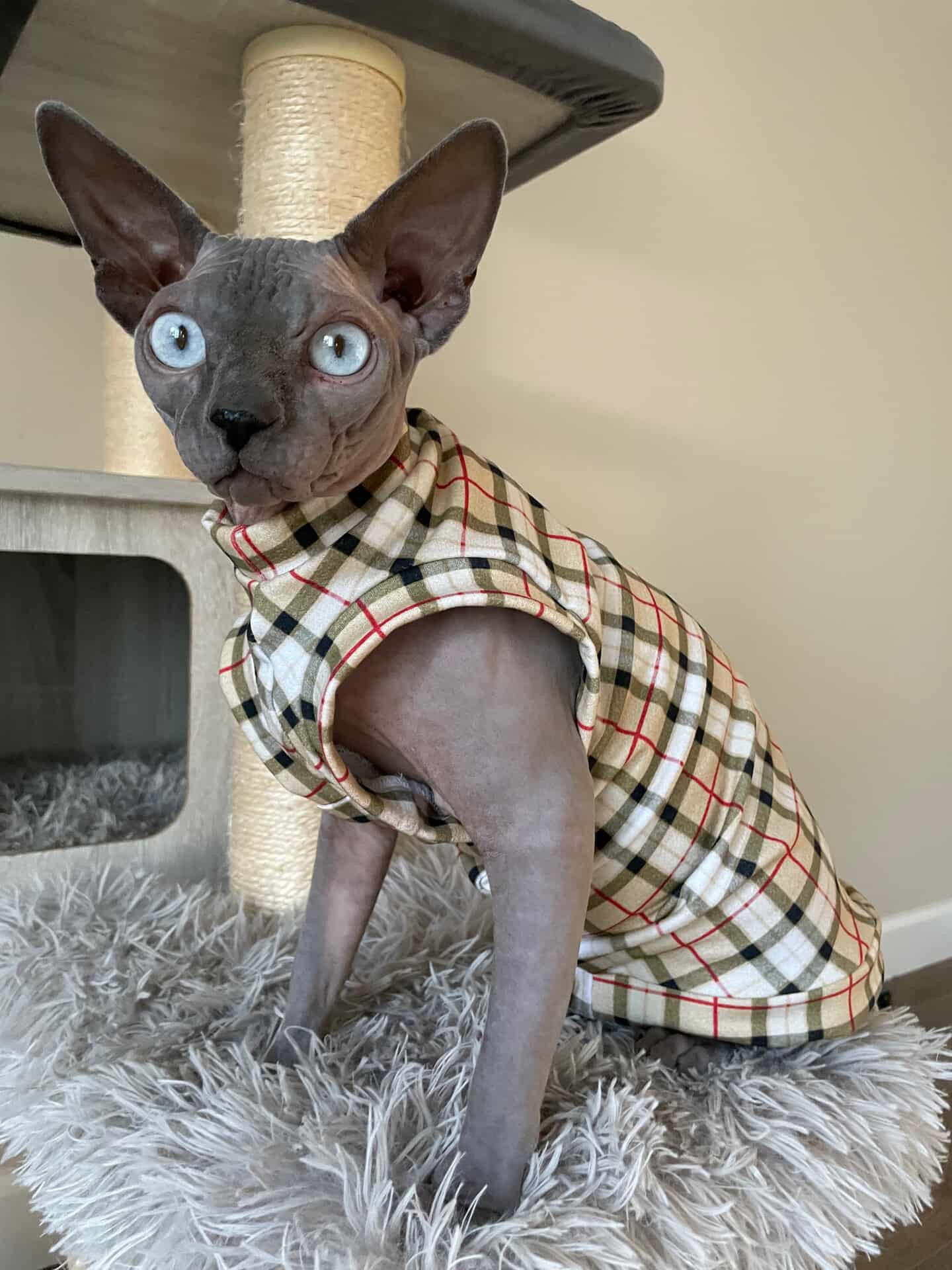 Luxury Plaid Lightweight Sweatshirt