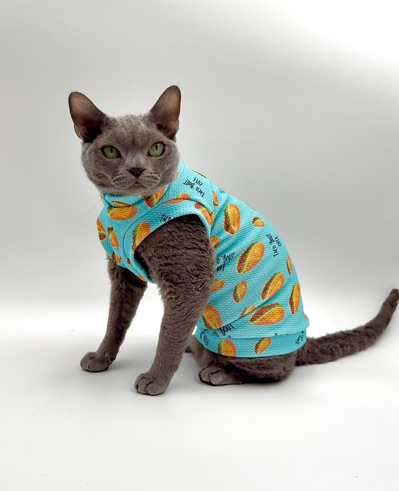 Taco Bout Cute Textured Shirt