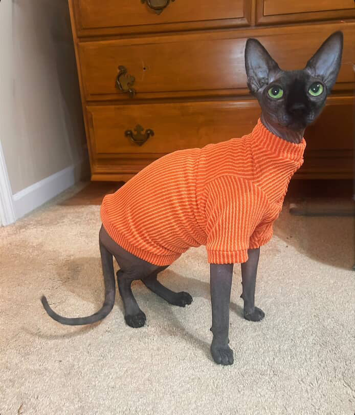 Orange Long Sleeve Chunky Ribbed Shirt
