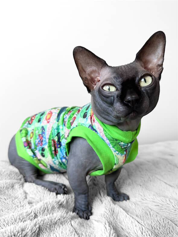 Extraterrestrial Everyday Shirt