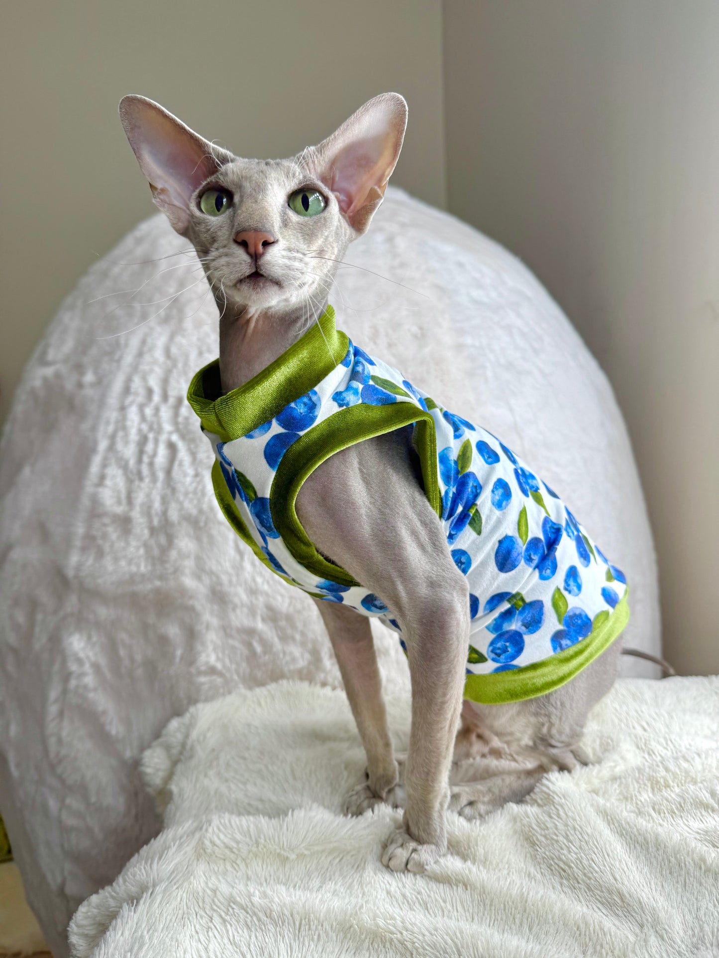 Berry Sweet Everyday Shirt