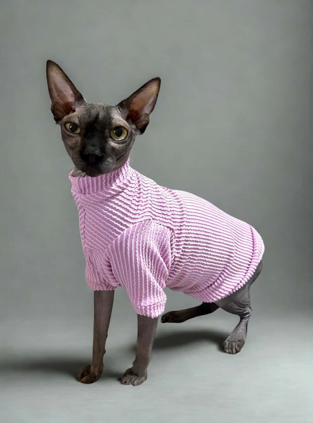 Lavender Long Sleeve Chunky Ribbed Shirt