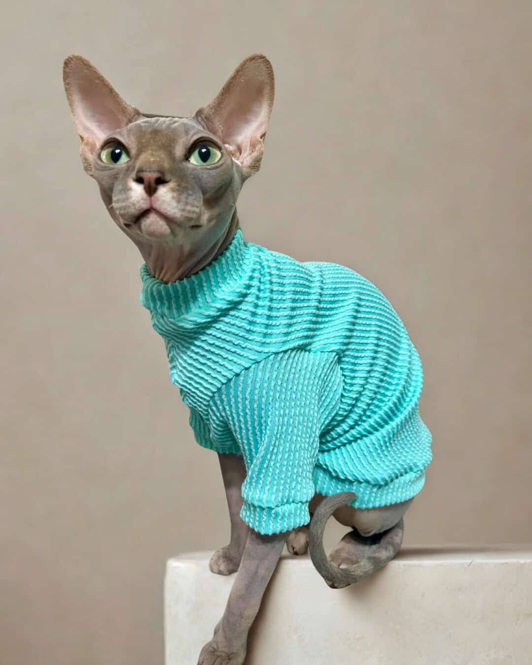 Seafoam Long Sleeve Chunky Ribbed Shirt