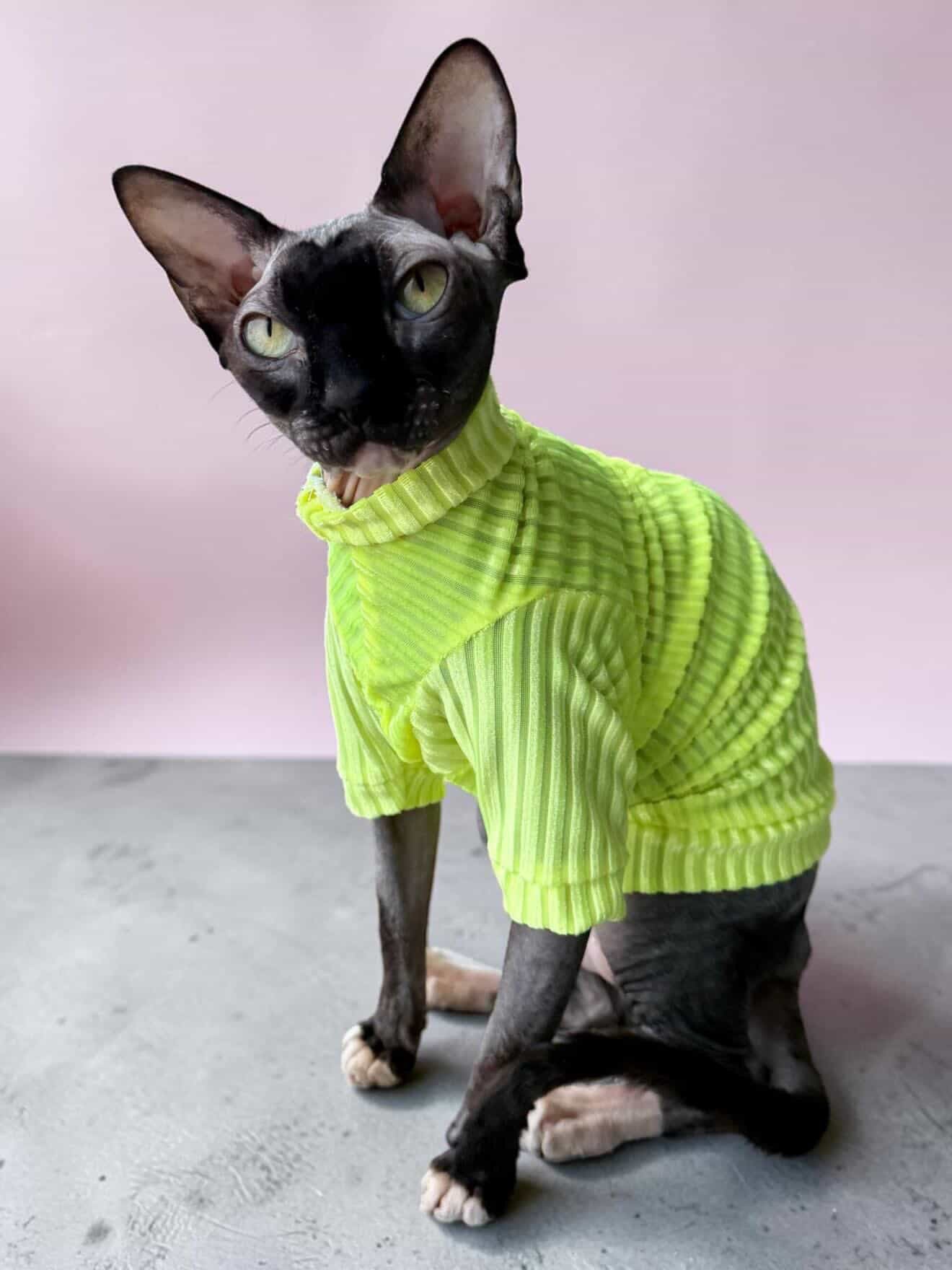 Neon Sol Long Sleeve Ribbed Velvet Shirt