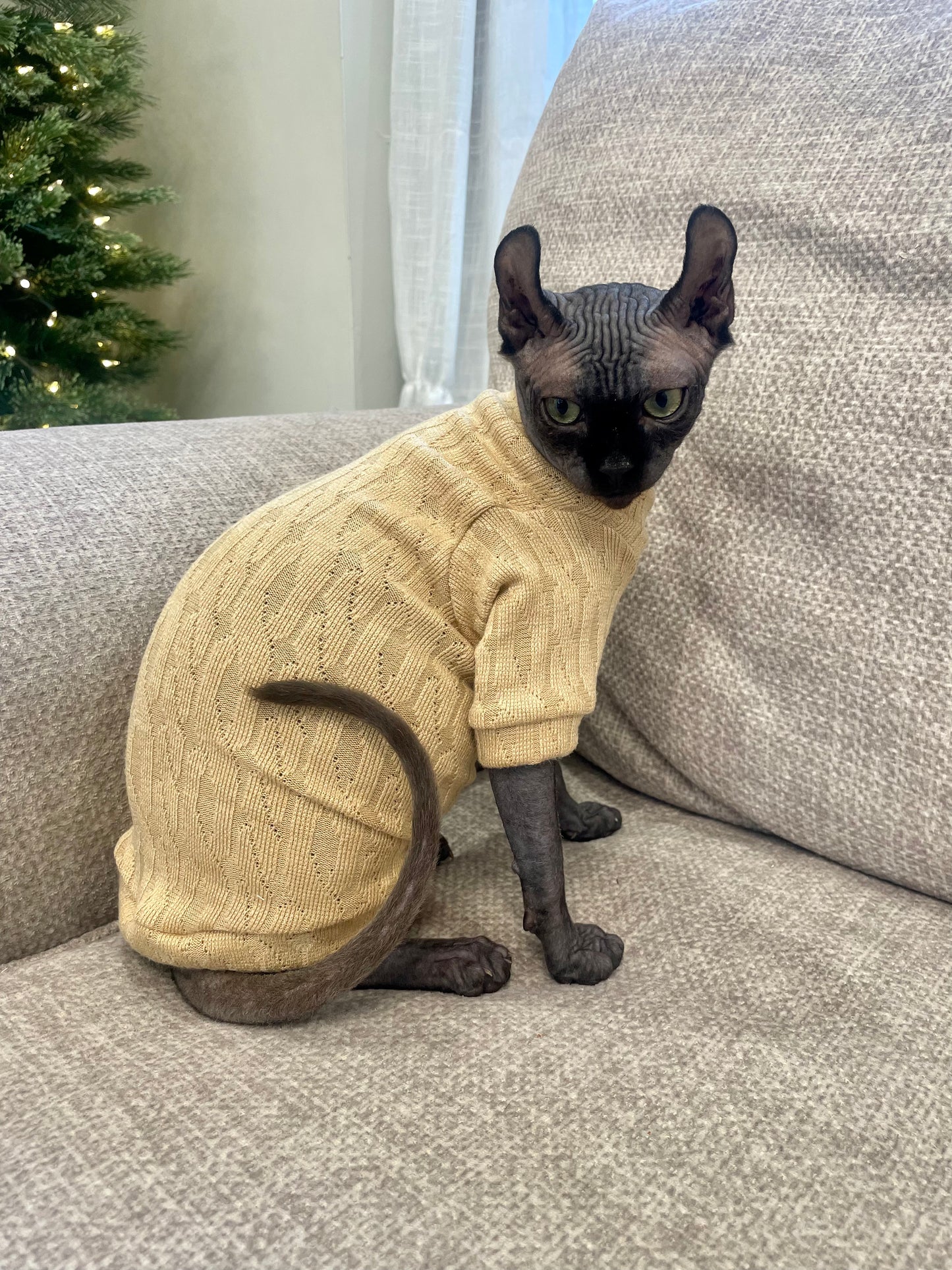 Sand Long Sleeve Sweater