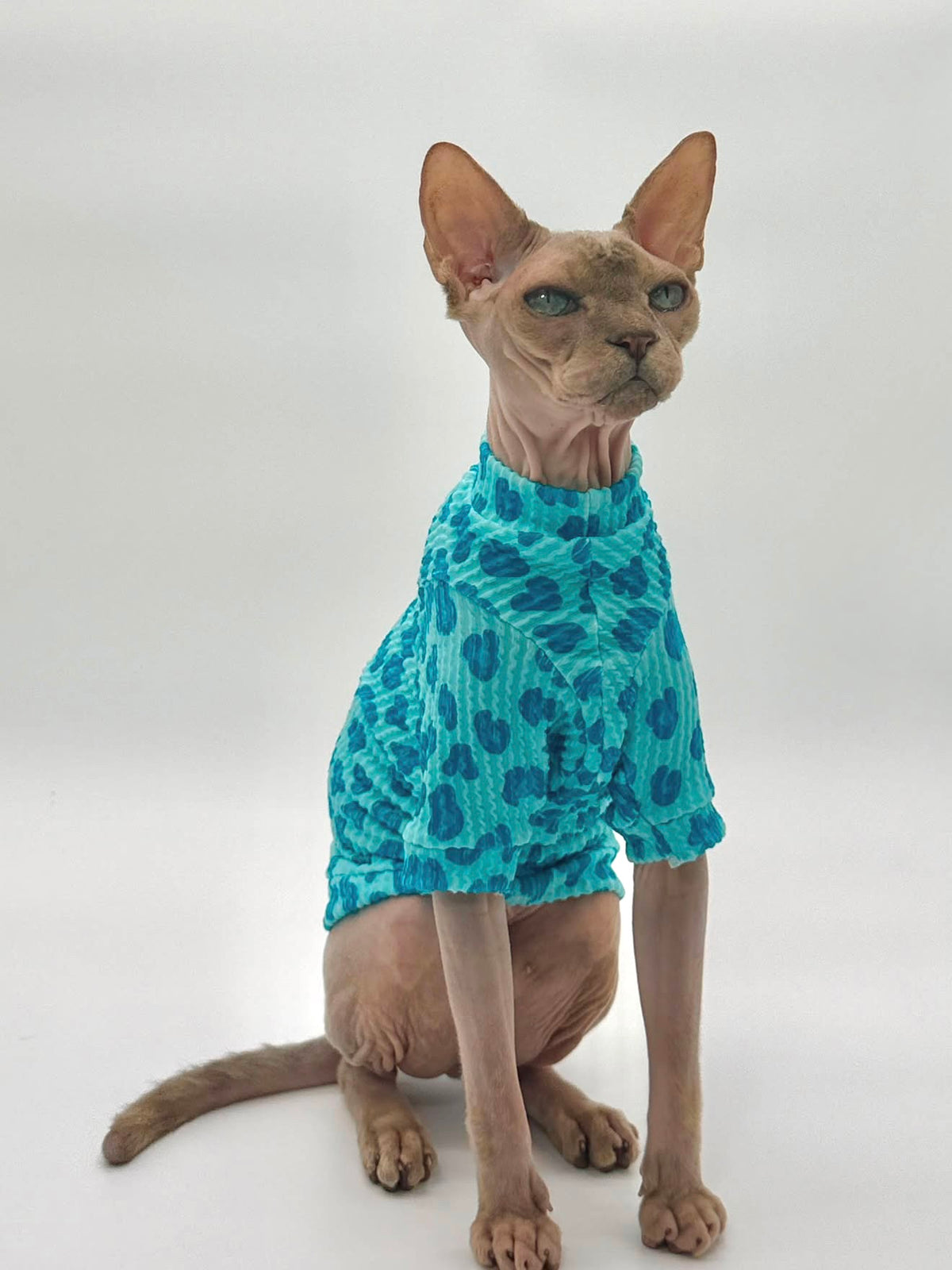 Blue Razz Leopard Long Sleeve Chunky Ribbed Shirt