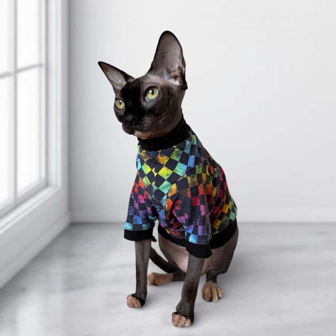 Rainbow Checkers Long Sleeve UV50+ Sun Protection Shirt
