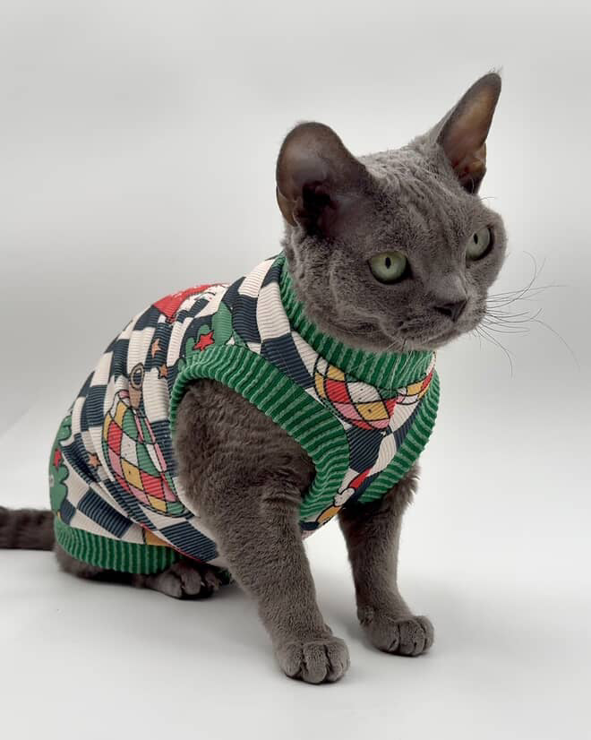 Retro Christmas Ribbed Shirt