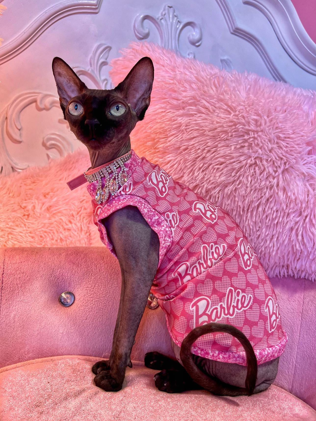 Barbie Glam by Mildred the Sphynx