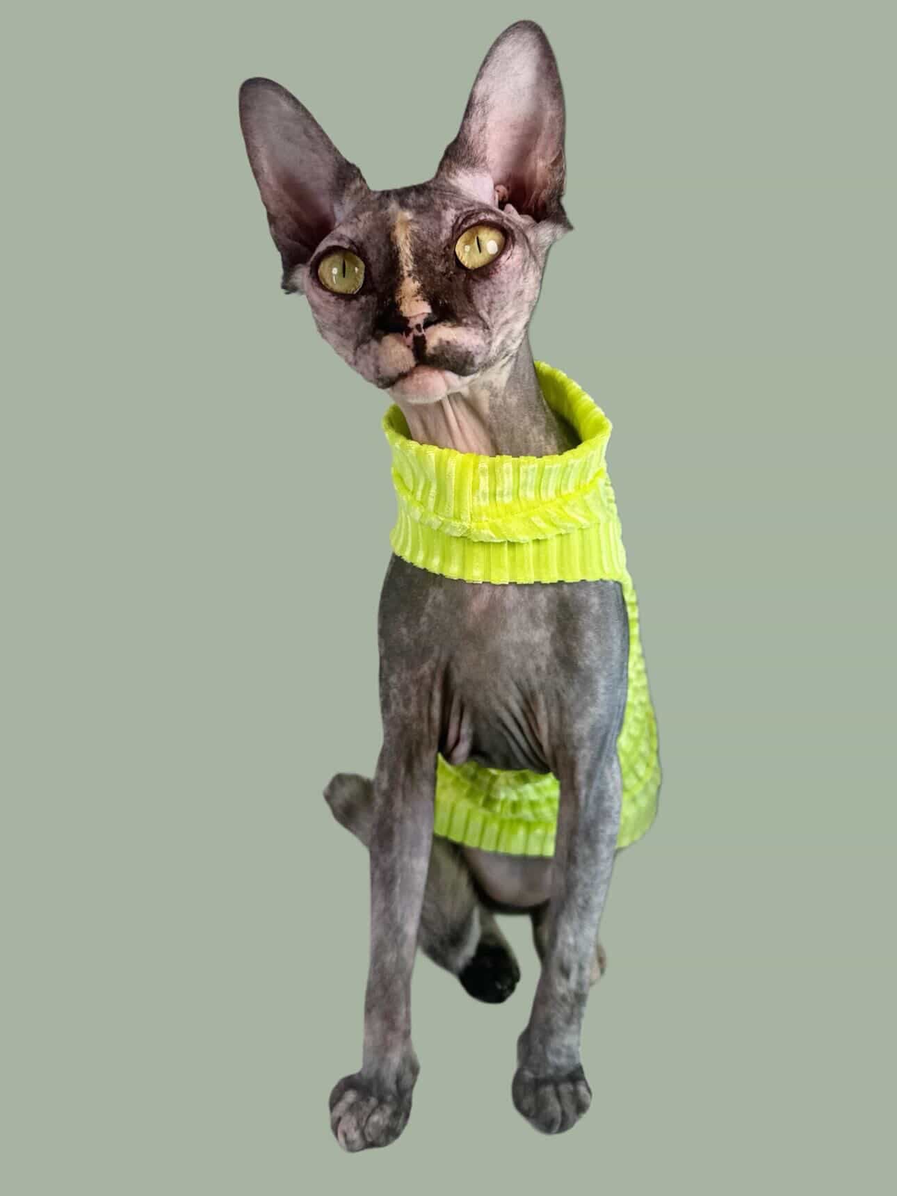 Neon Sol Ribbed Velvet Shirt with One Arm Hole