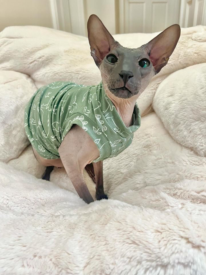 Sage Dinosaurs Bamboo Shirt