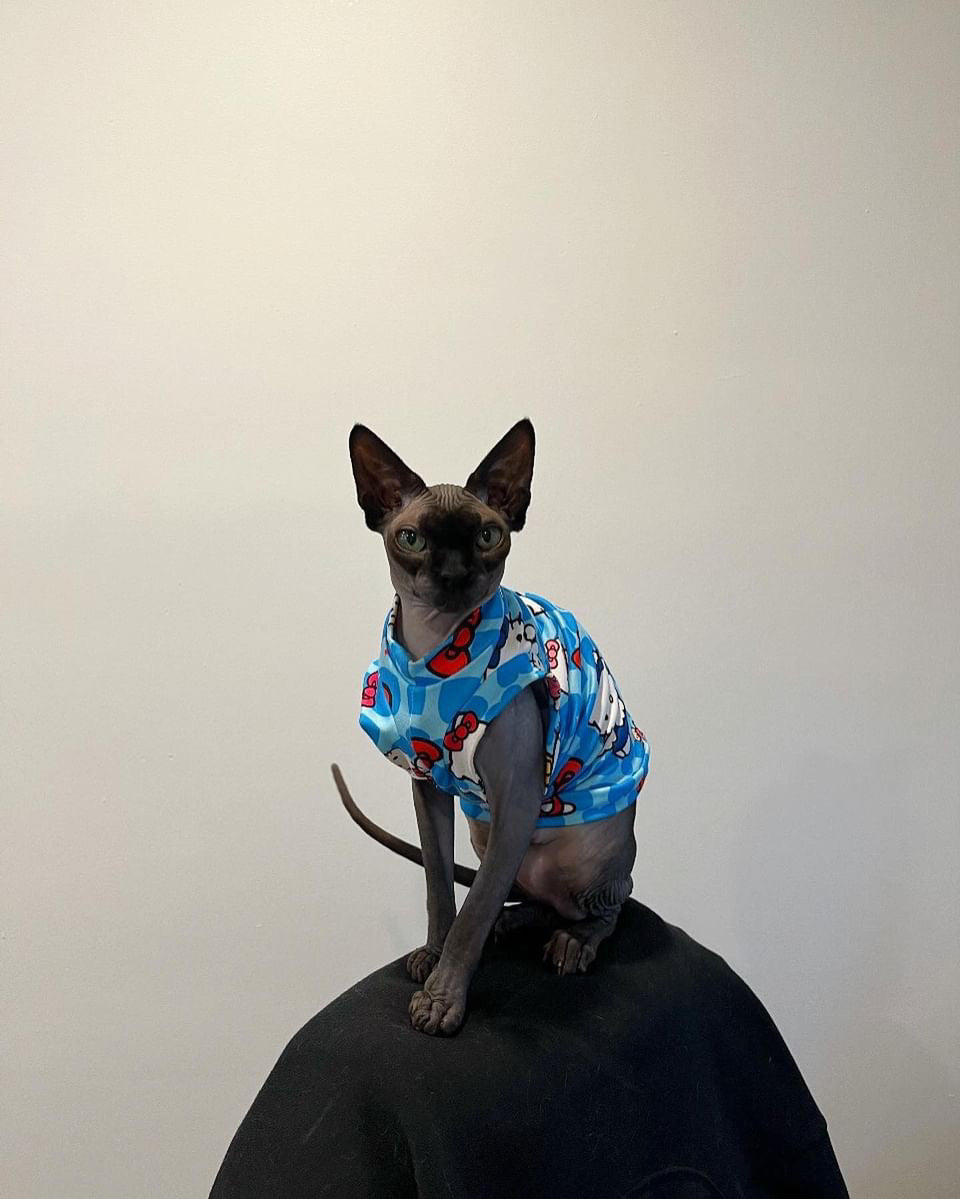 Blue Kitty Luxe Shirt