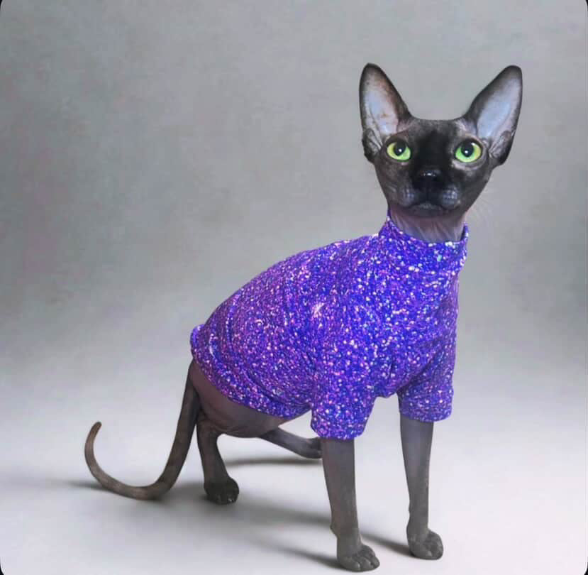 Purple Glitter Long Sleeve Everyday Shirt
