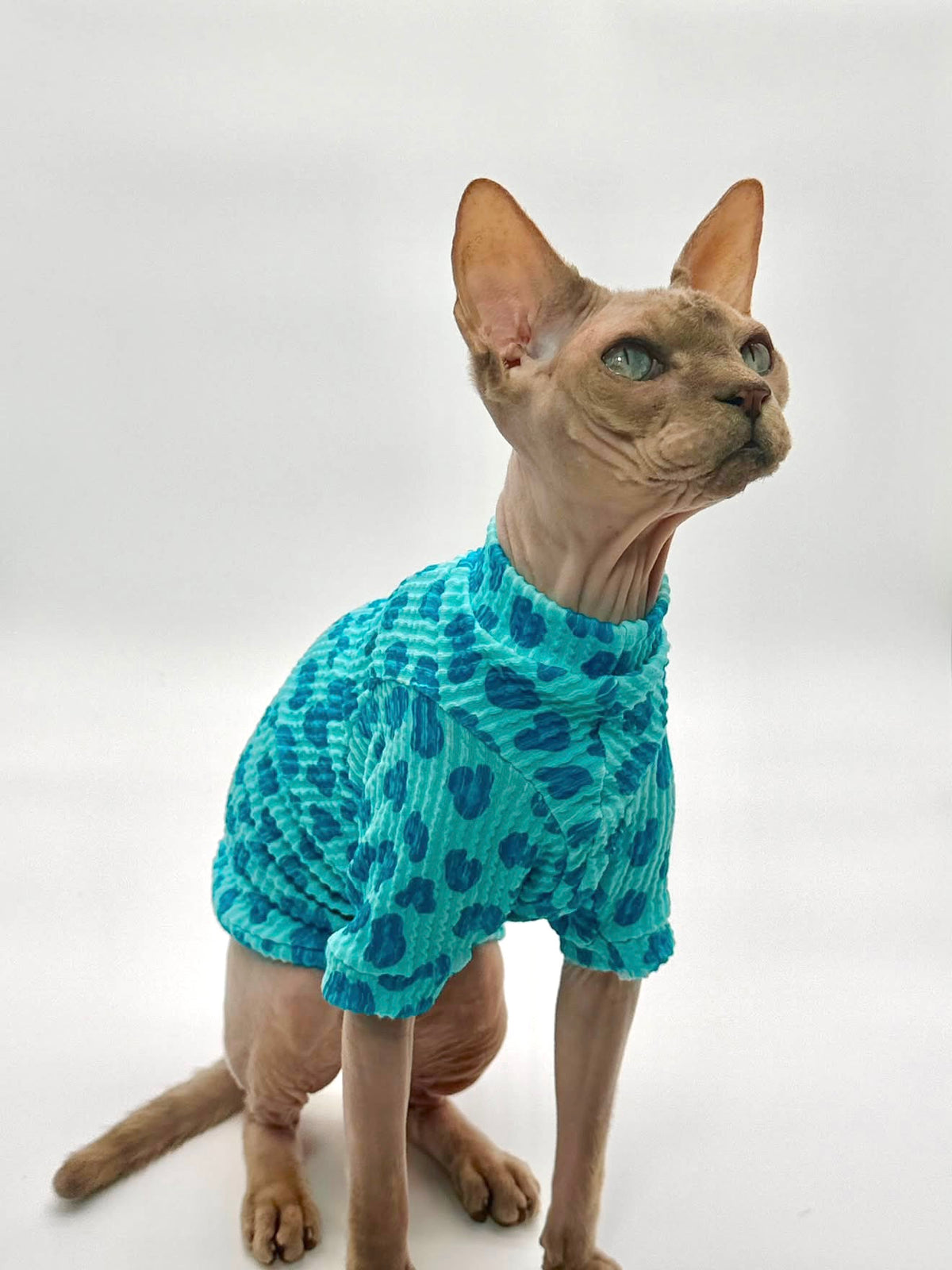 Blue Razz Leopard Long Sleeve Chunky Ribbed Shirt