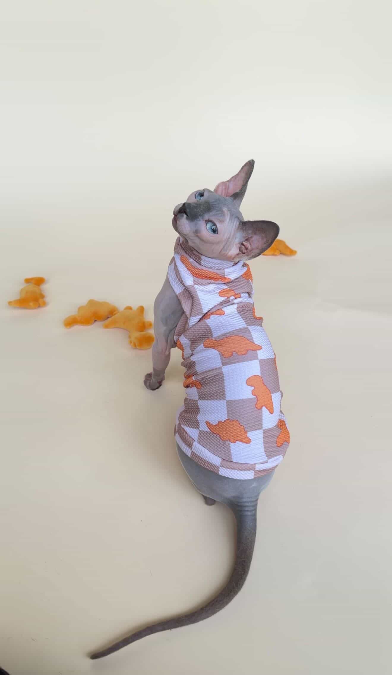 MSD X NoodyBums Neutral Dino Nuggets Textured Shirt with One Arm Hole