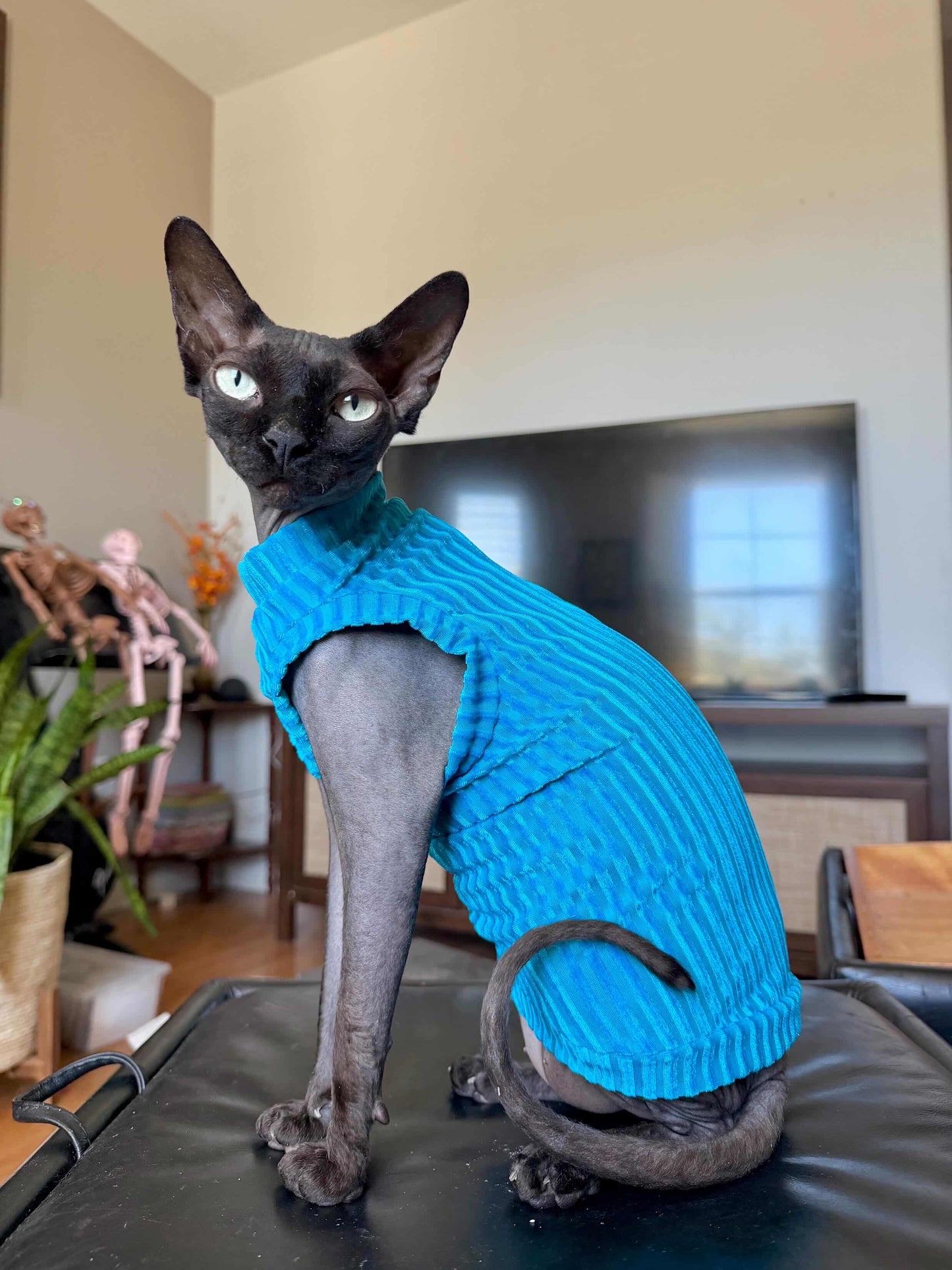 Aqua After Party Ribbed Velvet Shirt