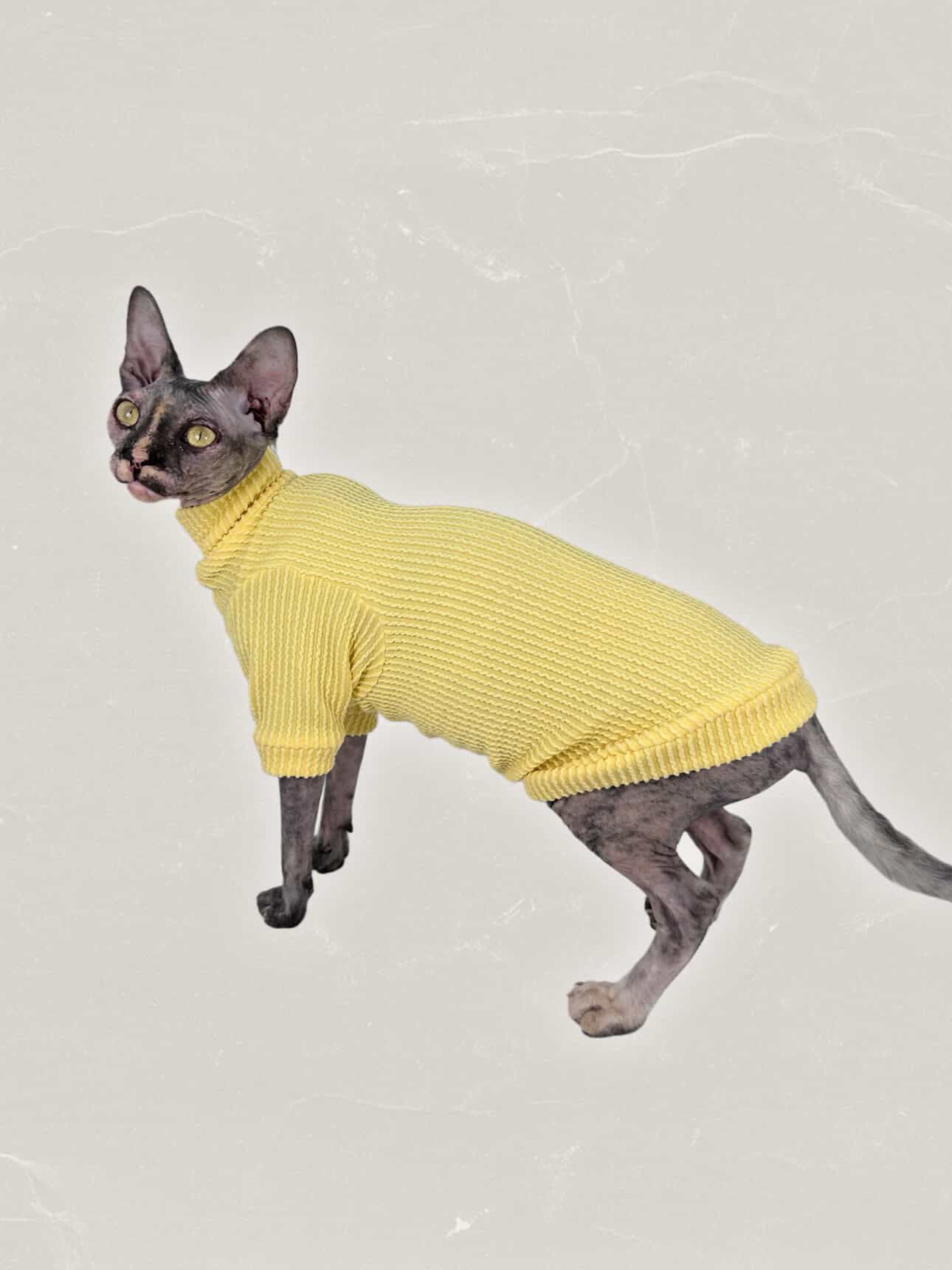 Butter Long Sleeve Chunky Ribbed Shirt