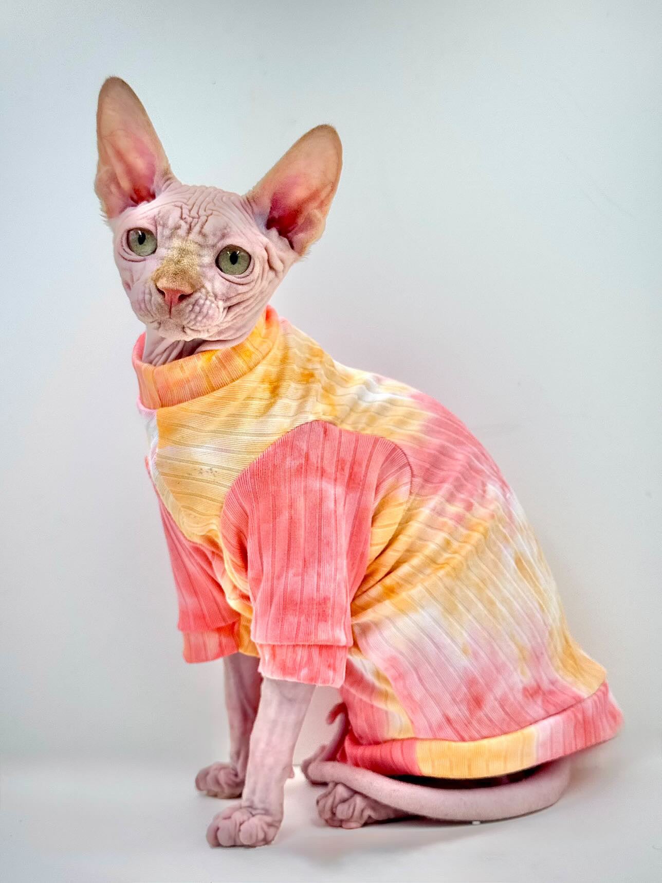 Sherbet Tie Dye Long Sleeve Ribbed Shirt