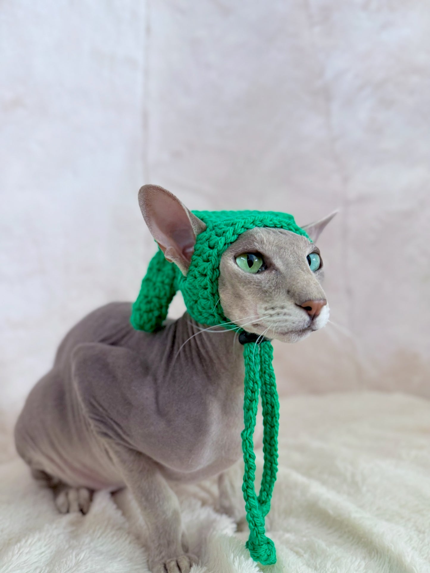 Zelda Knit Hat