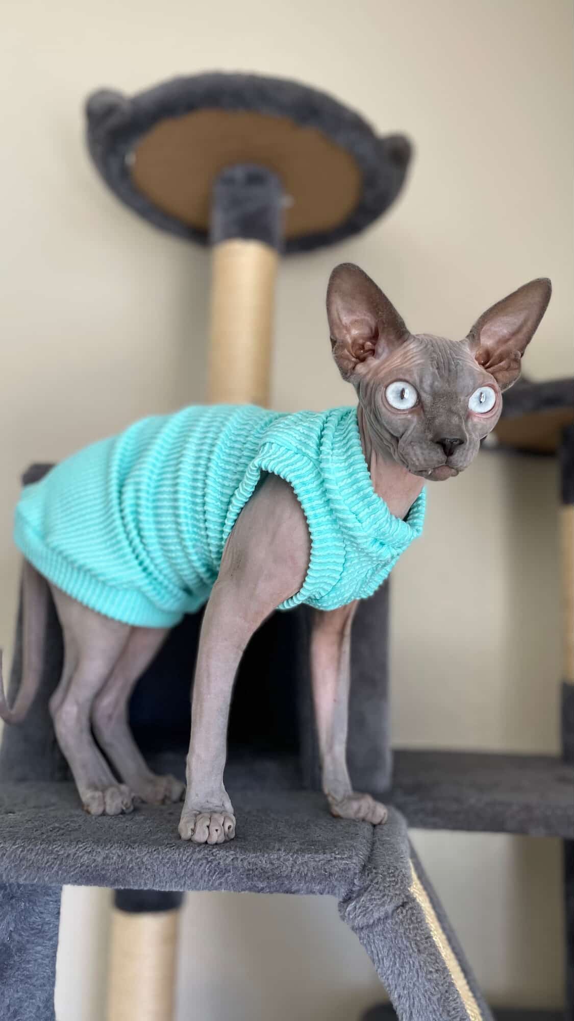 Seafoam Chunky Ribbed Shirt