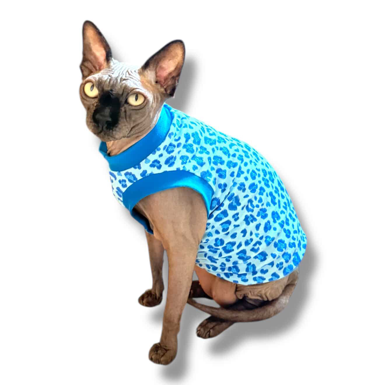 Cheetah Boys Everyday Shirt