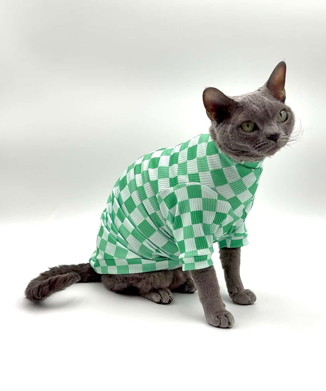 Lucky Checks Long Sleeve Ribbed Shirt