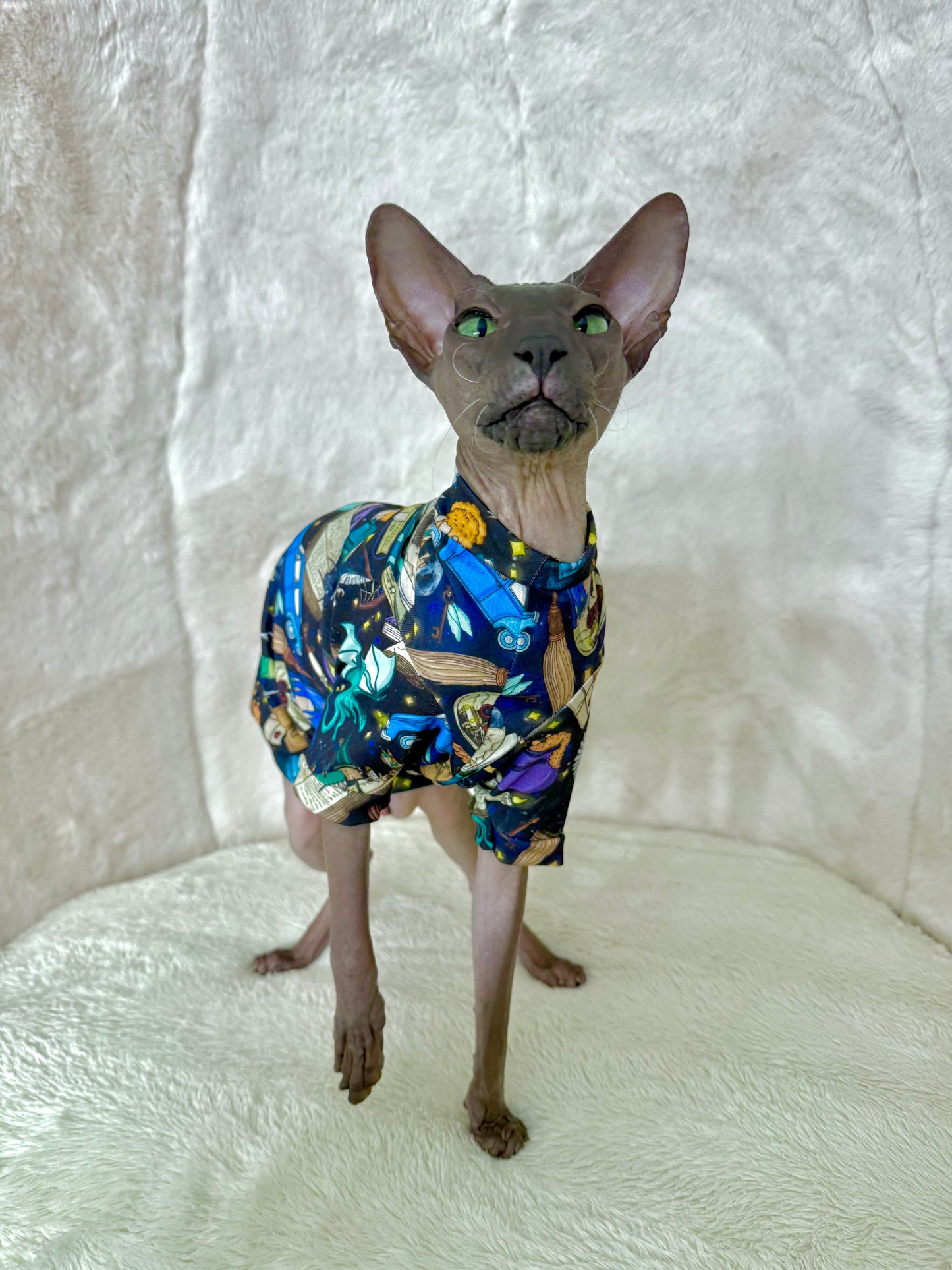 Back to Hogwarts Long Sleeve Bamboo Shirt