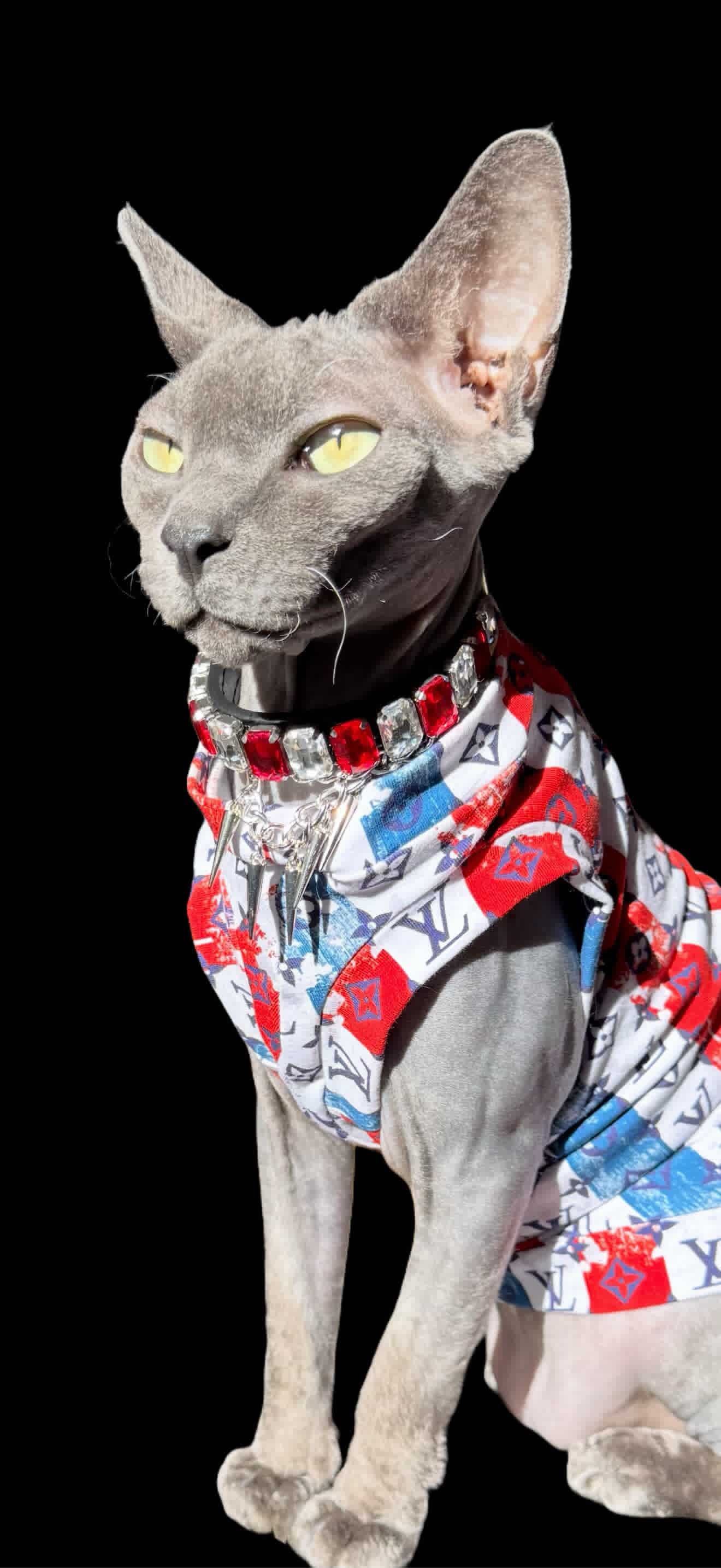 Patriotic Luxury Everyday Shirt