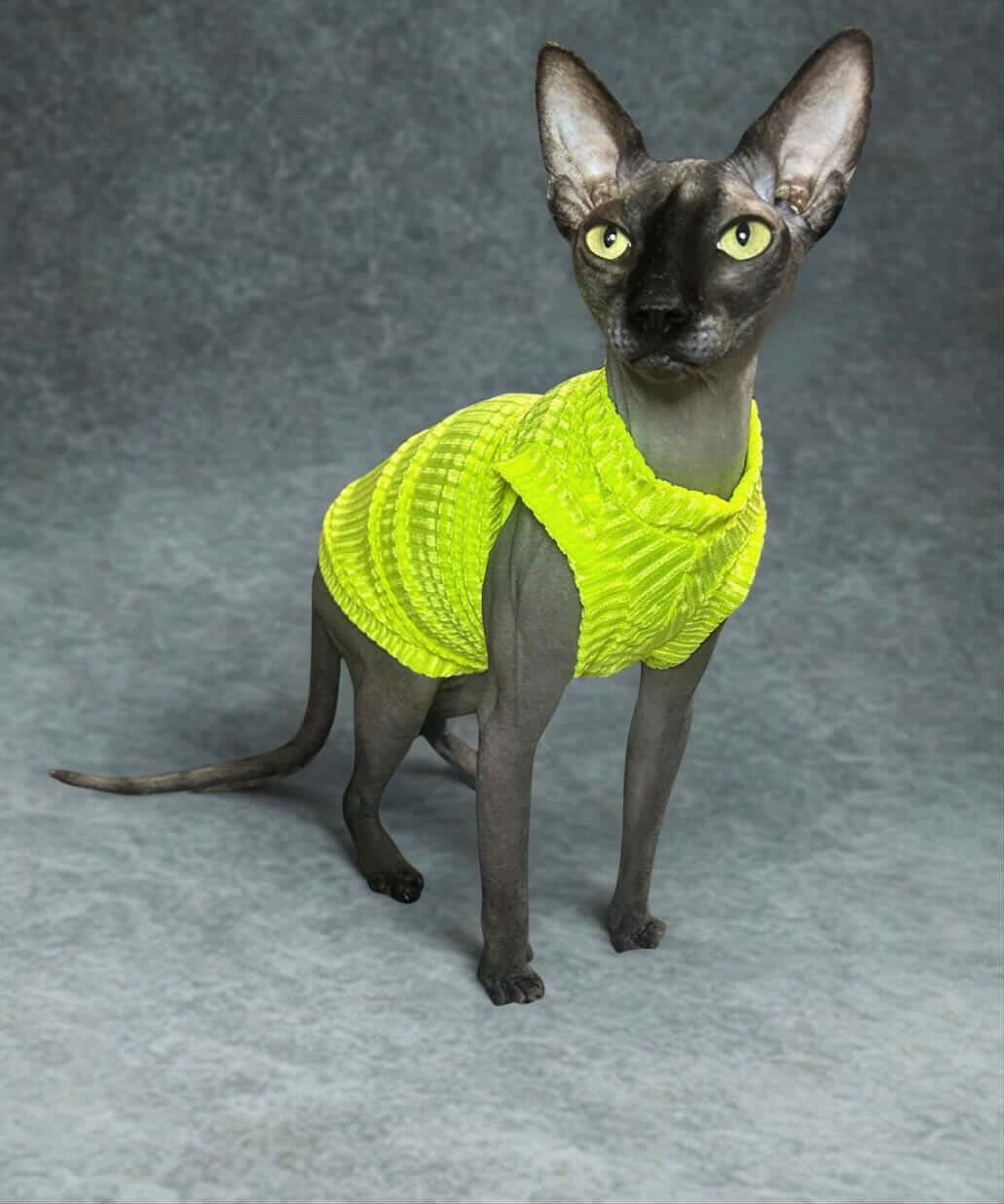 Neon Sol Ribbed Velvet Shirt