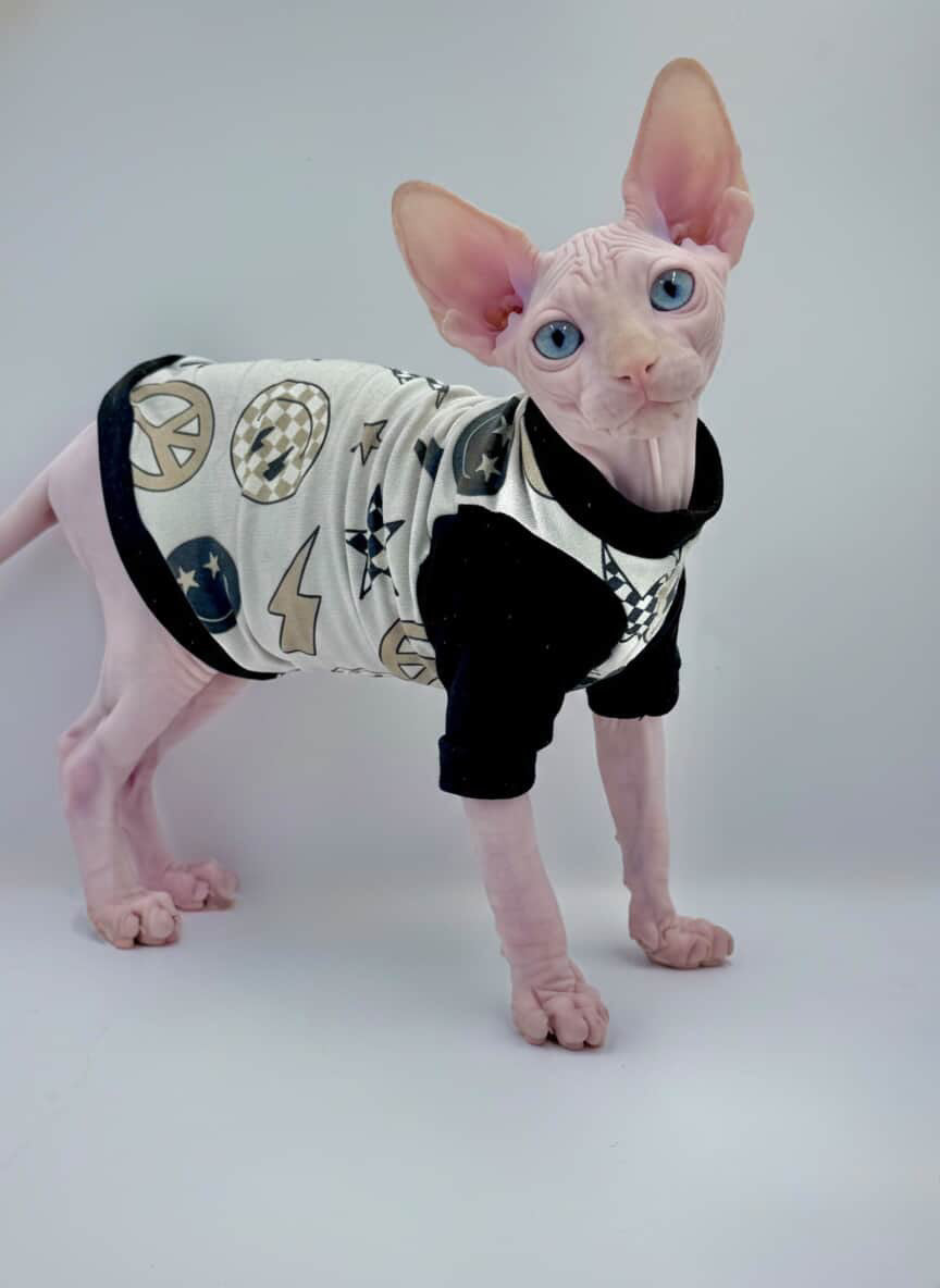 Cool Bro Long Sleeve Bamboo Shirt