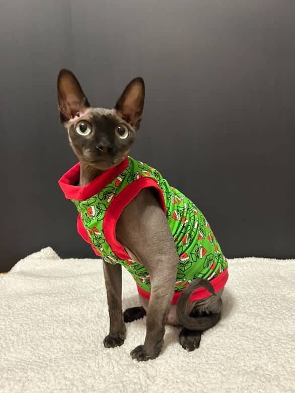 Merry Grinchmas Everyday Shirt