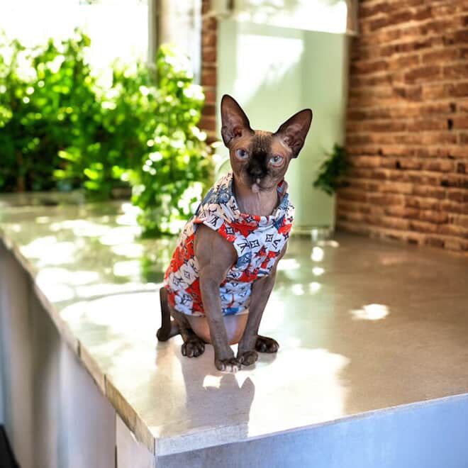 Patriotic Luxury Everyday Shirt