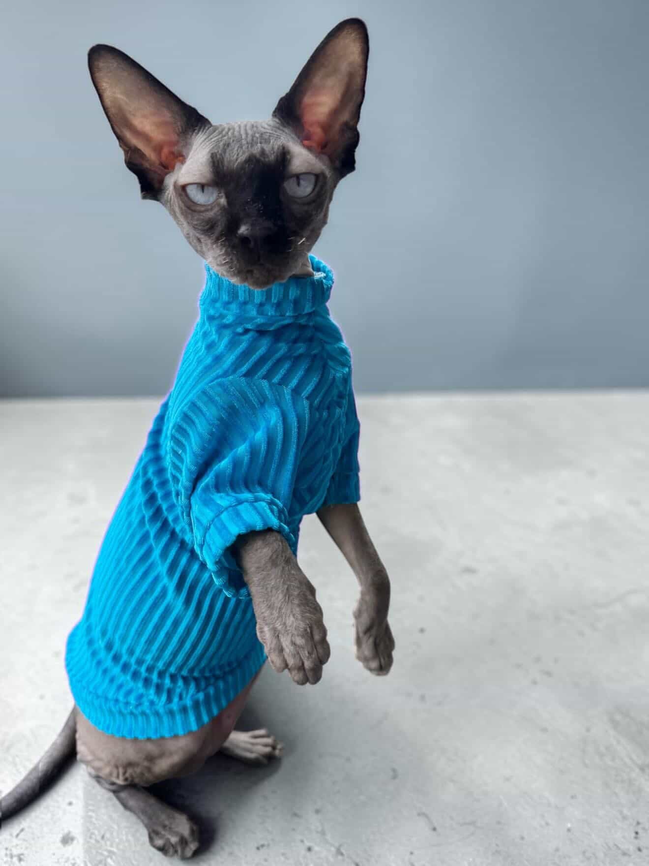 Aqua After Party Long Sleeve Ribbed Velvet Shirt