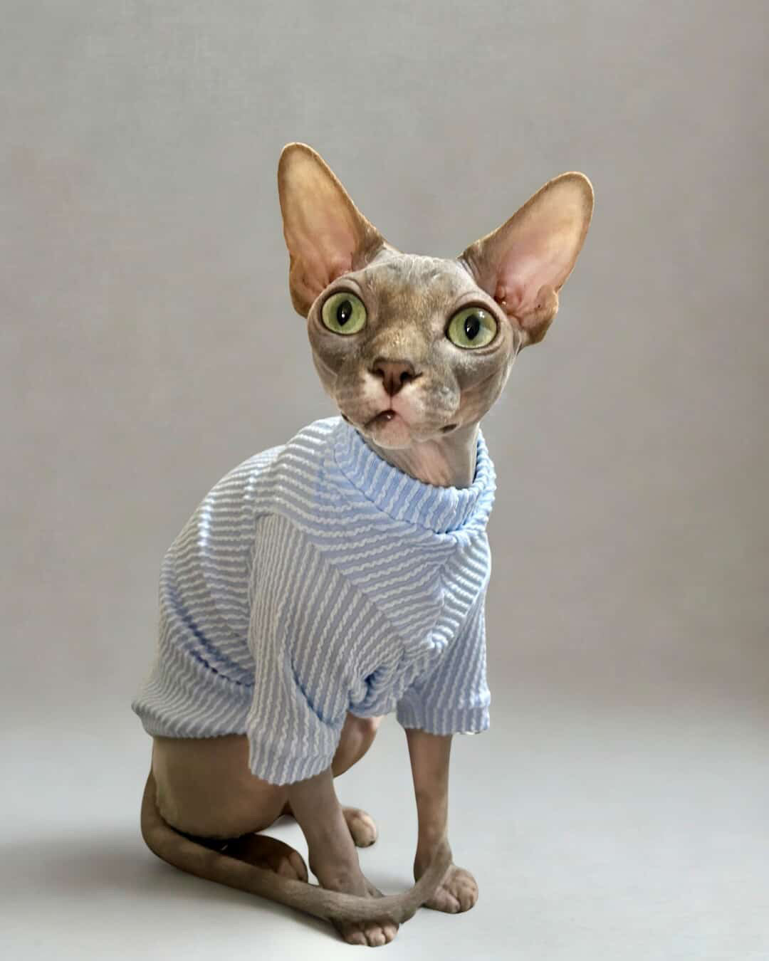 Powder Long Sleeve Chunky Ribbed Shirt