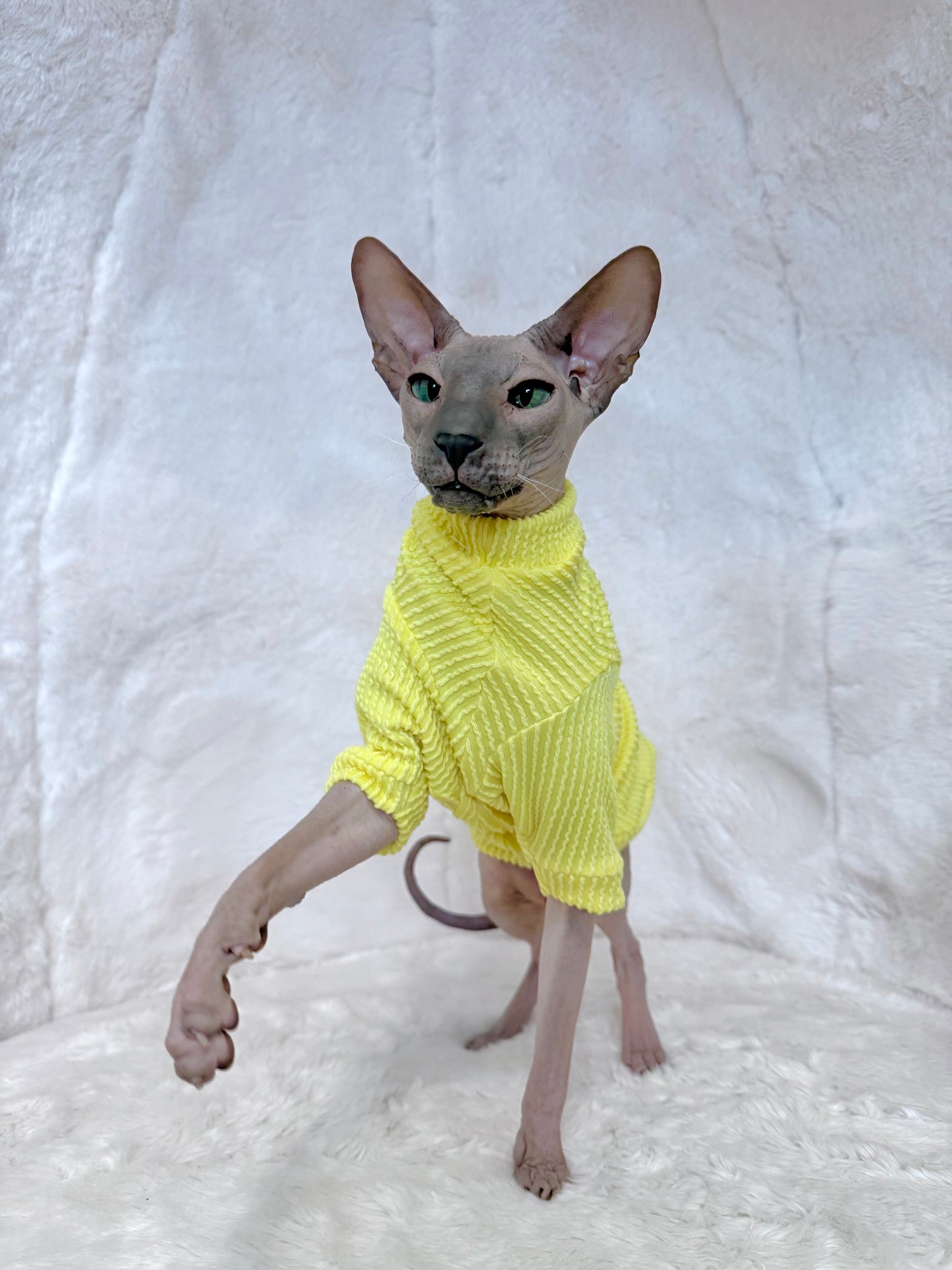 Butter Long Sleeve Chunky Ribbed Shirt