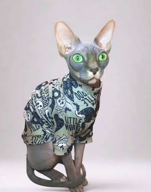 Little Weirdo Long Sleeve Ribbed Shirt