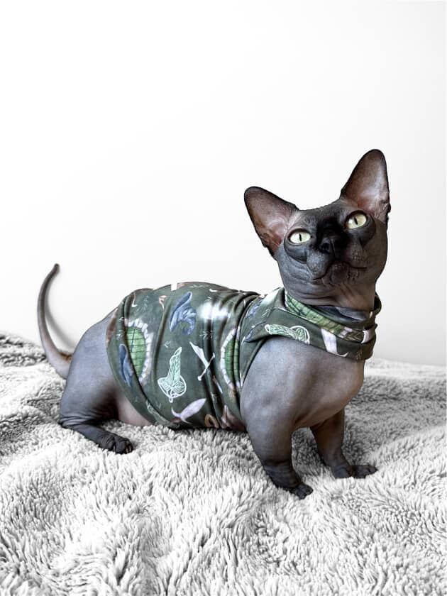 Lord of the Rings Luxe Shirt with One Arm Hole