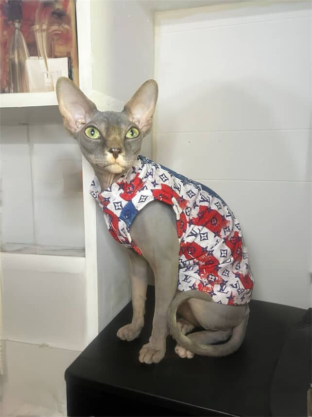 Patriotic Luxury Everyday Shirt
