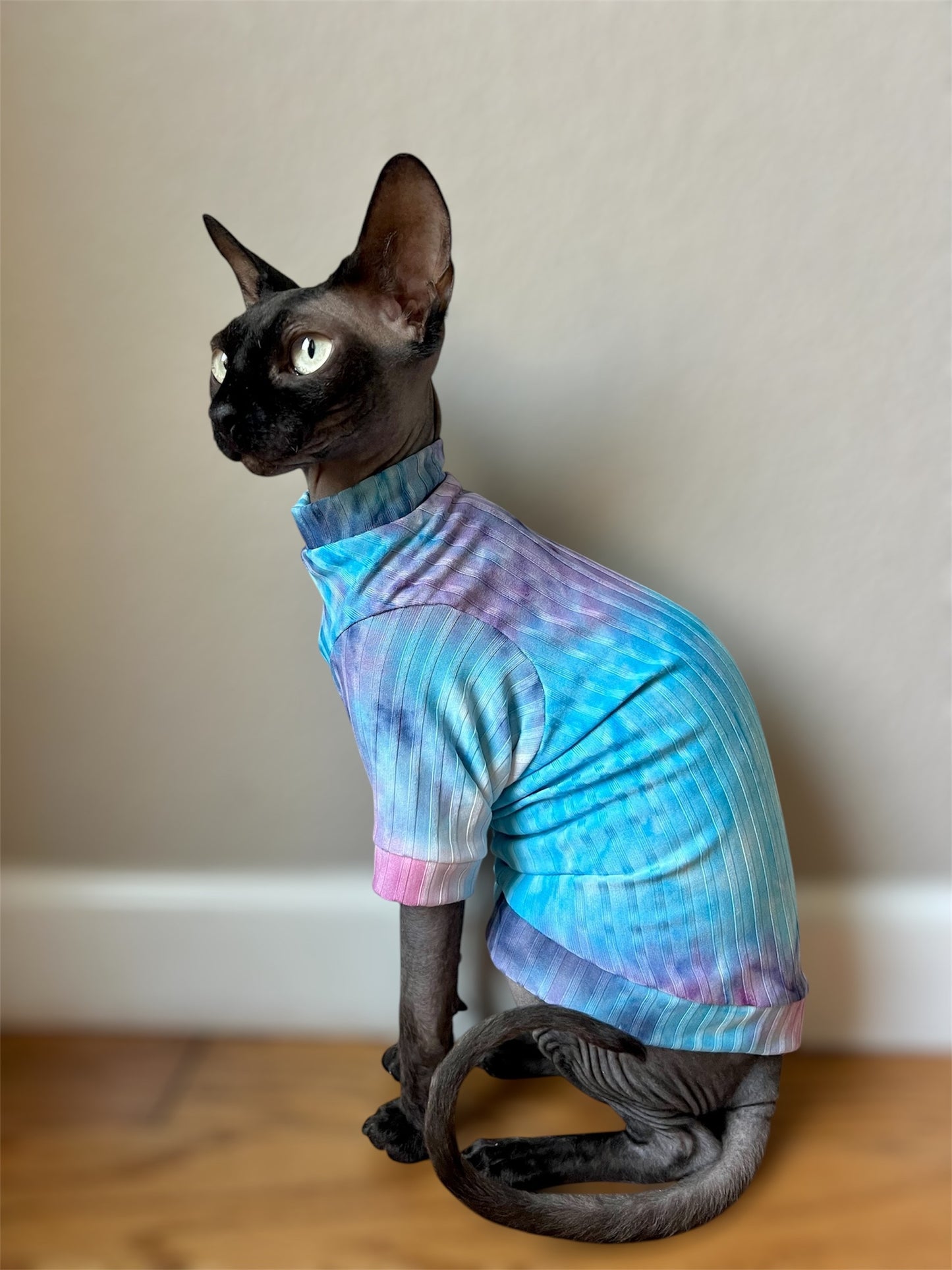 Cotton Candy Tie Dye Long Sleeve Ribbed Shirt