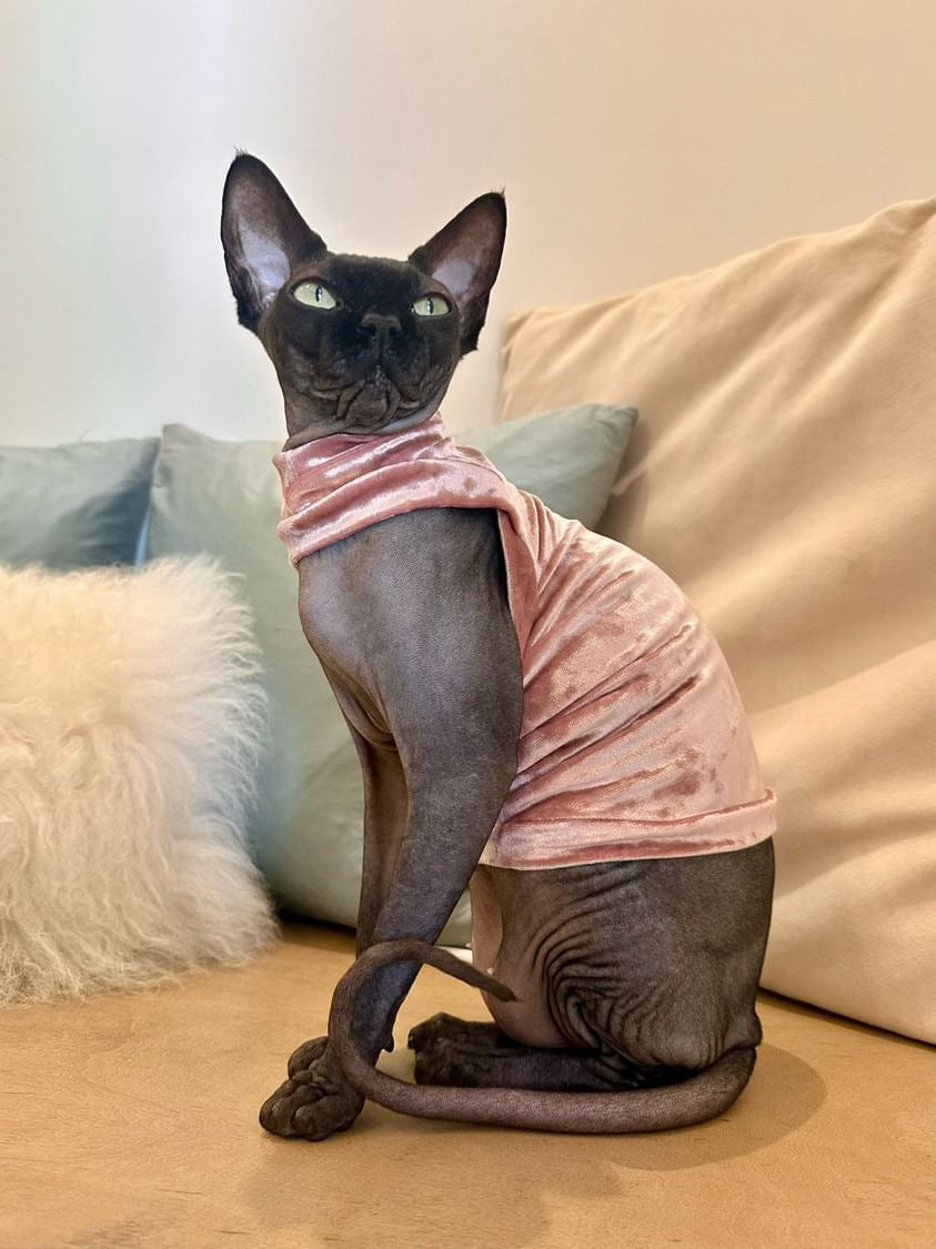 Pink Velvet Shirt with One Arm Hole